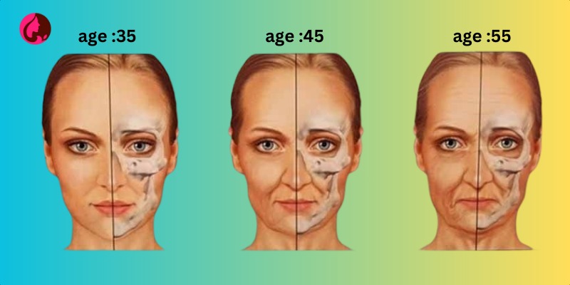 روند تغییرات لایه های پوست با افزایش سن