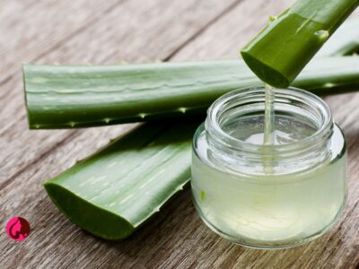 آلوئه ورا Aloevera: گیاهی شگفت‌انگیز با فواید بی‌شمار
