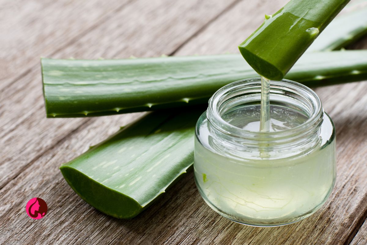 آلوئه ورا Aloevera: گیاهی شگفت‌انگیز با فواید بی‌شمار