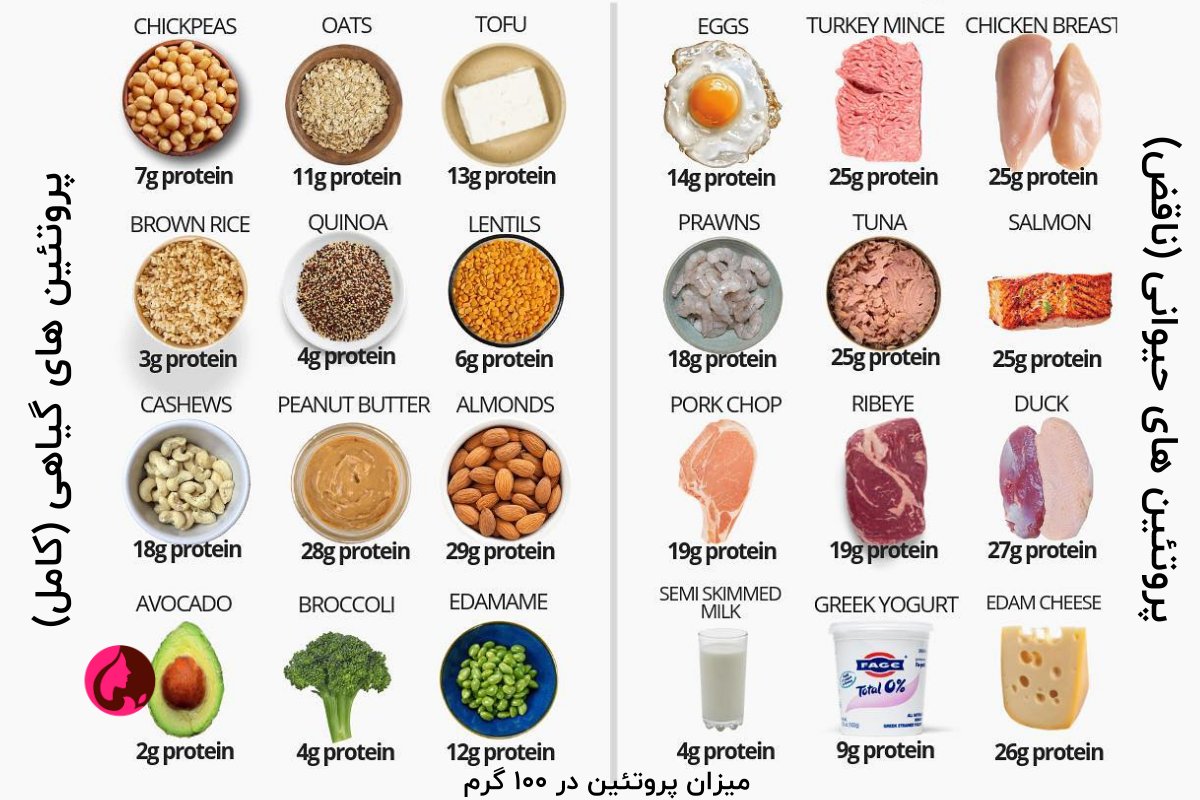 انواع پروتئین