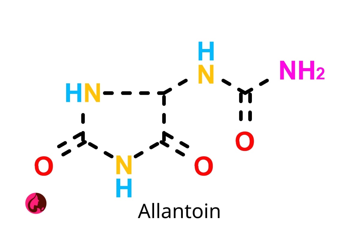 آلانتوئین (Allantoin)