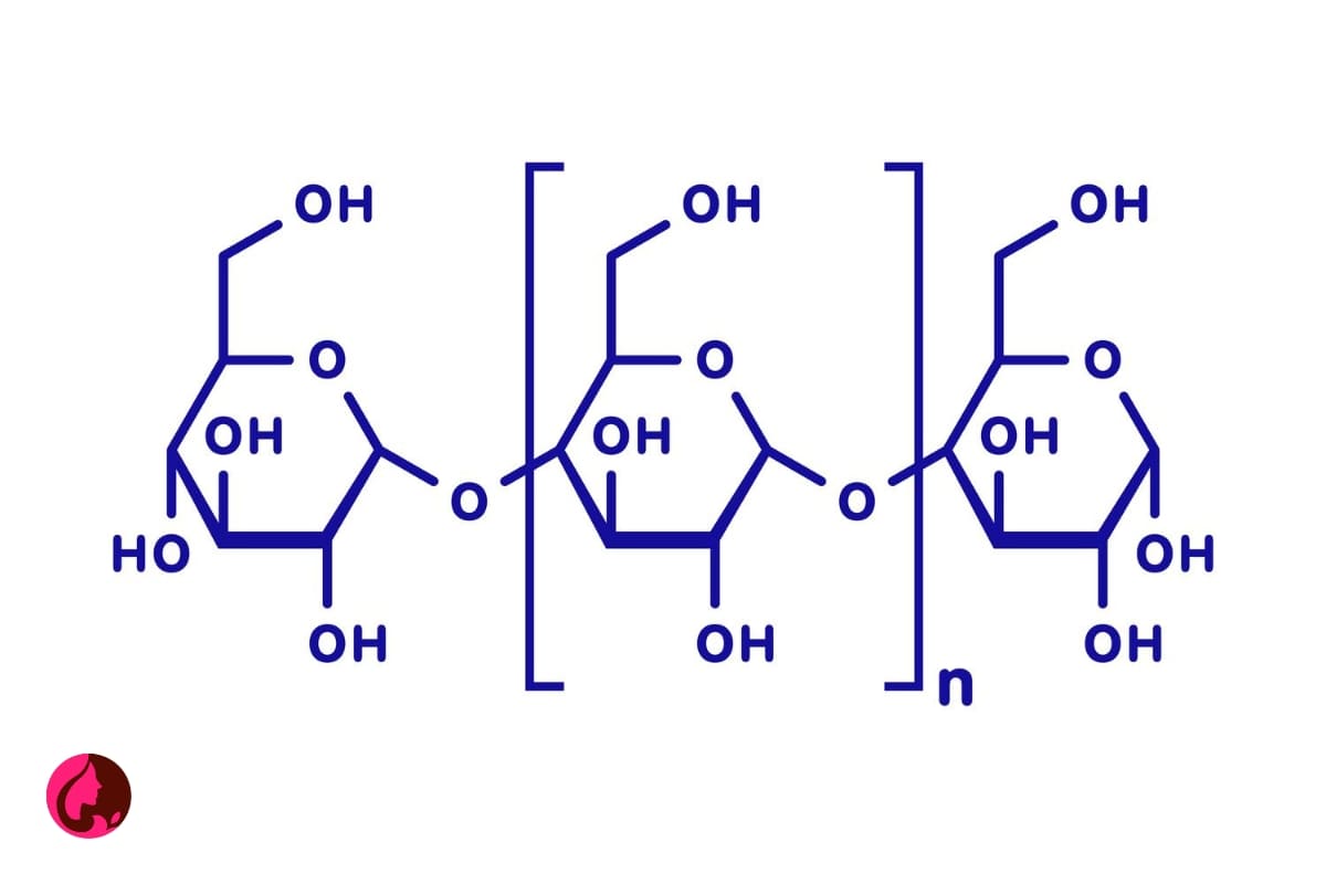 فواید و خواص پلی ساکاریدها