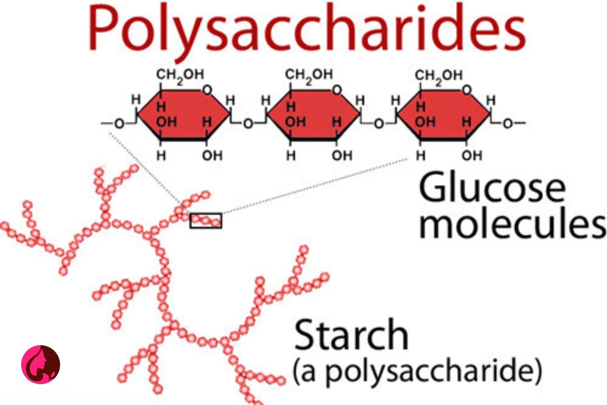 انواع پلی ساکارید