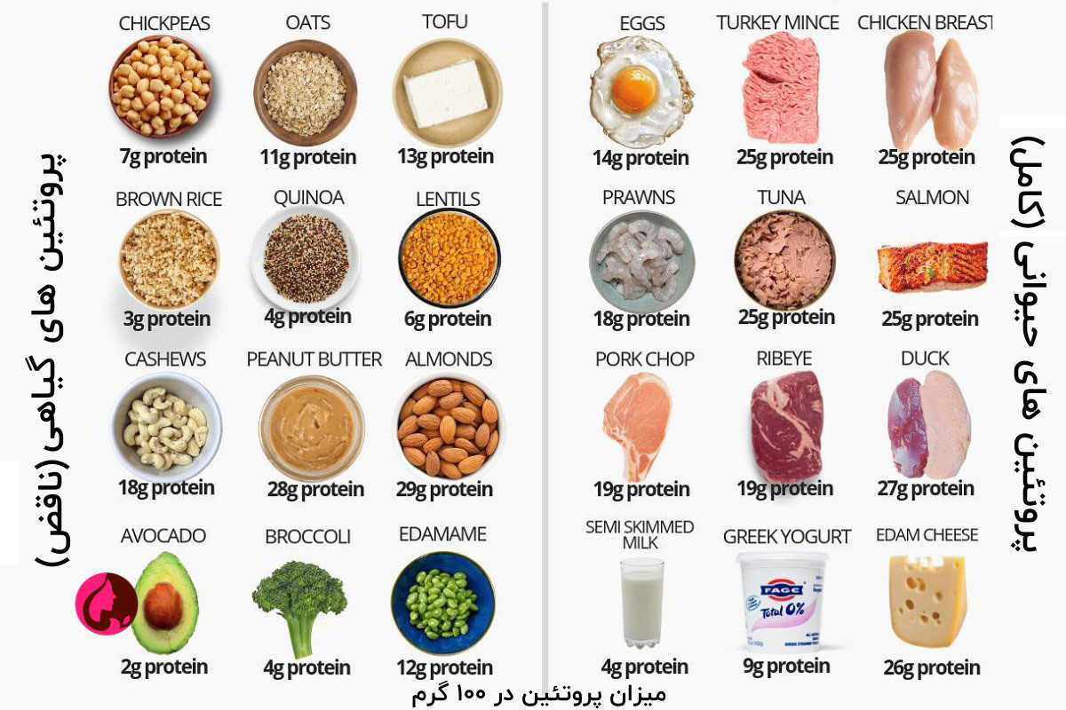 انواع پروتئین