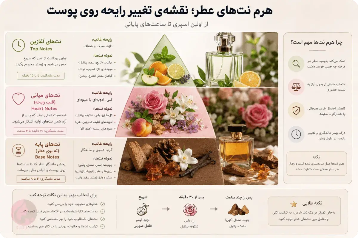 شفافیت نت در خرید آنلاین عطر: از کوییزهای هوشمند تا سمپلستهای تست 5 هرم نتهای عطر شامل نتهای آغازین، میانی و پایه و روند تغییر رایحه روی پوست