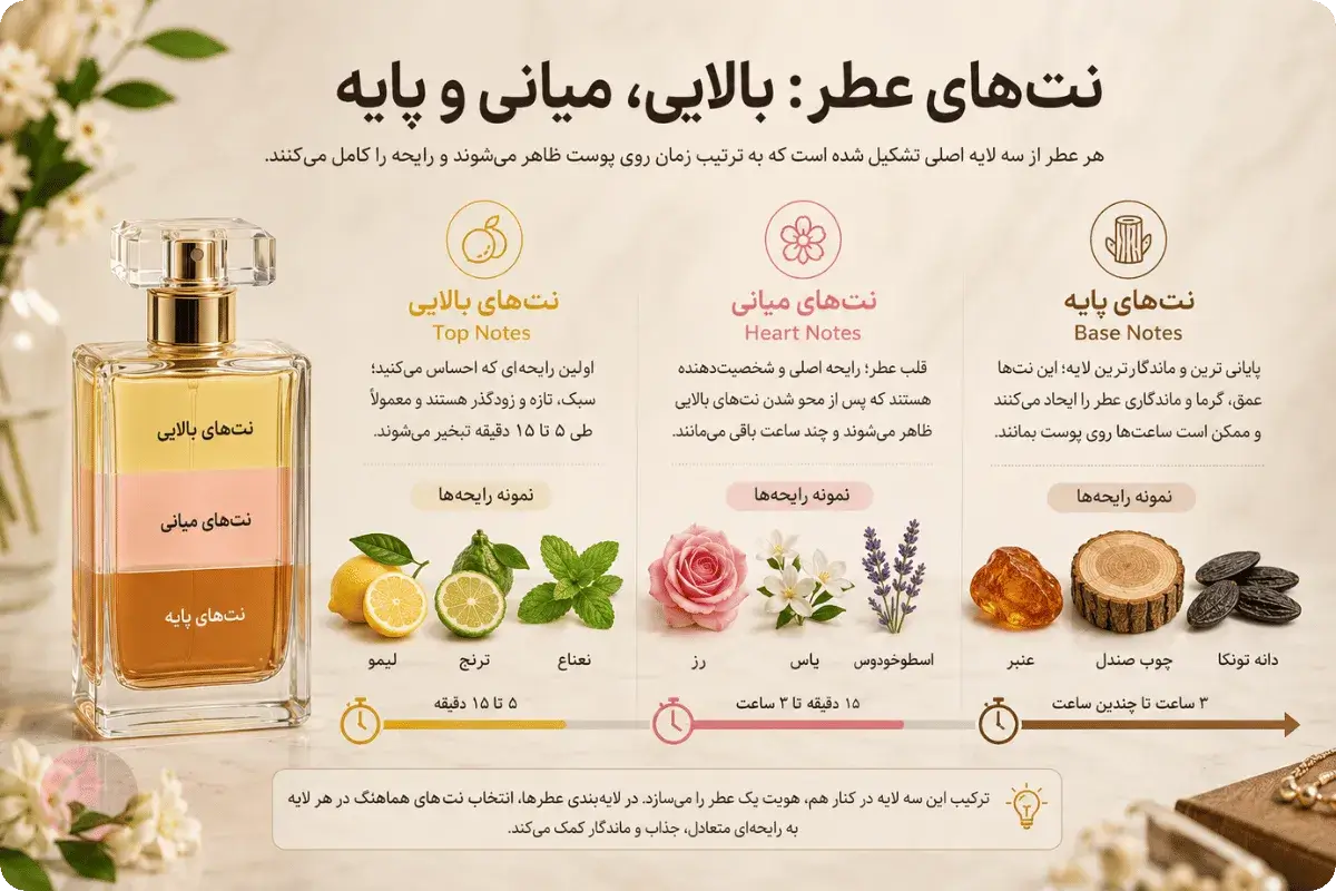 لایهبندی عطر مثل حرفهایها: ۹ ترکیب امن برای ساخت امضای بوی شخصی 1 نتهای بالایی، میانی و پایه عطر با نمونه رایحههای مرکباتی، گلی و چوبی